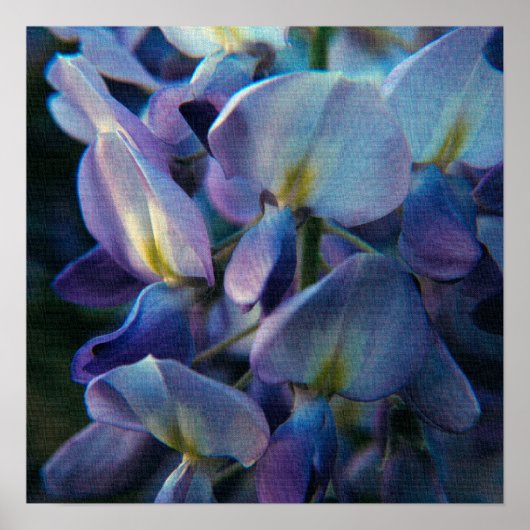 Kreationen-Poster Poster (Vorne)