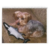 Kreativer Westie/Yorkie 12-monatiger Kalender (Titelbild)
