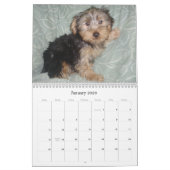 Kreativer Westie/Yorkie 12-monatiger Kalender (Jan 2026)