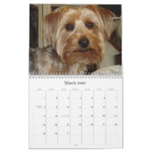 Kreativer Westie/Yorkie 12-monatiger Kalender (Mär 2026)