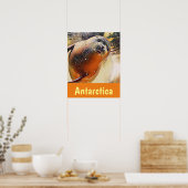 Kreatives Leben Baden Siegel Antarktis Poster (Küche)
