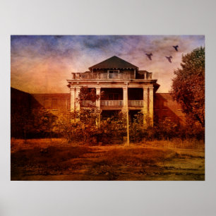 Kreatives Verrücktheit-Asyl Poster