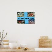 Kreaturen am Poipu-Strand Poster (Küche)