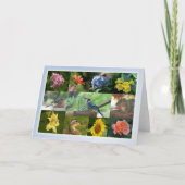 Kreaturen und Kreaturenkollage Karte (Vorderseite)