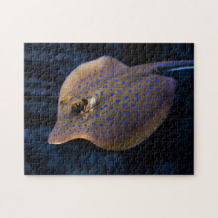 Kreaturen wild lebender Stingray-Fischmeer Puzzle
