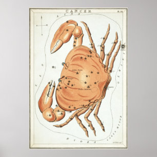 Krebs Astrologisch Zeichnend Poster