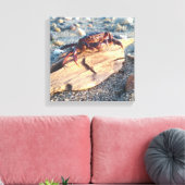 Krebs auf Driftwood Canvas Print Leinwanddruck (Insitu (Wohnzimmer))