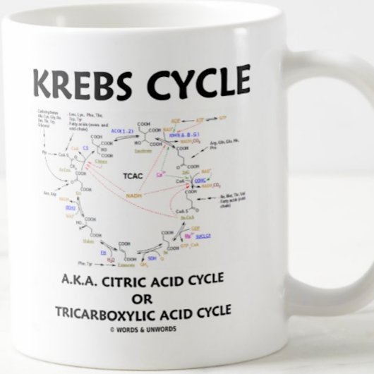 Krebs Cycle A.K.A. Citric Acid Cycle Tricarbonat Kaffeetasse