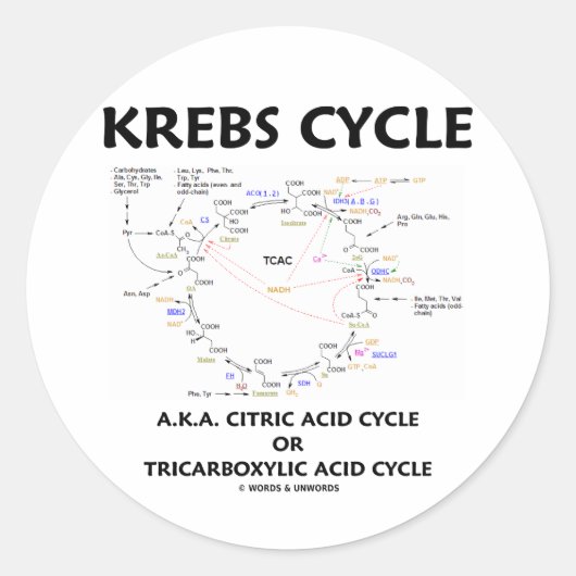 Krebs Cycle A.K.A. Citric Acid Cycle Tricarbonat Runder Aufkleber (Vorderseite)