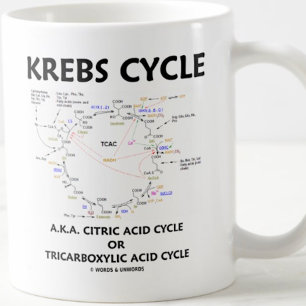 Krebs Cycle A.K.A. Tricarbonischer Säurezyklus Kaffeetasse