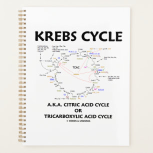 Krebs Cycle A.K.A. Tricarbonischer Säurezyklus Planer