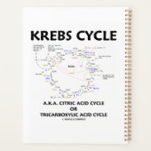 Krebs Cycle A.K.A. Tricarbonischer Säurezyklus Planer (Rückseite)