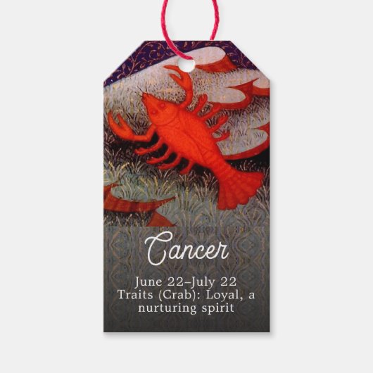 Krebs der Krebs Zodiac Geburt Party Geschenkanhänger (Vorderseite)