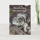 Krebs fühlt sich wie zwischen Rock und Hard Place Karte (Vorderseite)
