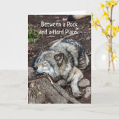 Krebs fühlt sich wie zwischen Rock und Hard Place Karte (Gelbe Blume)