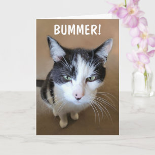 Krebs ist ein Bummer Karte