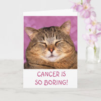 Krebs ist langweilig witzige Katze