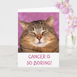 Krebs ist langweilig witzige Katze Karte