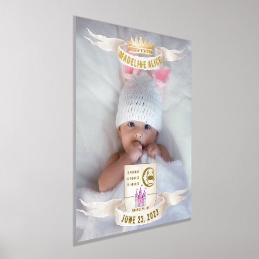 Krebs Neugeborene Name Foto Stats Gold Silver Foliendrucke (Ablage )