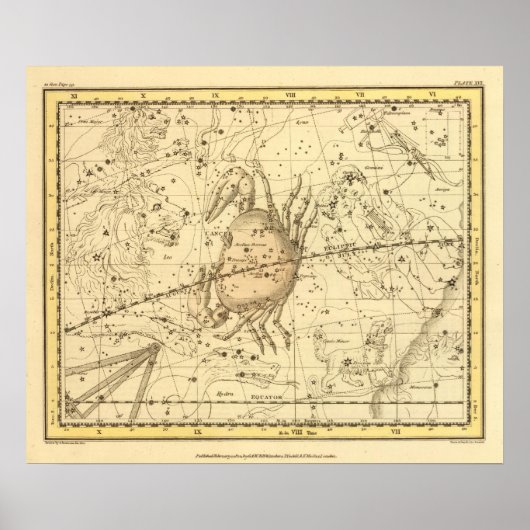 Krebs Poster (Vorne)