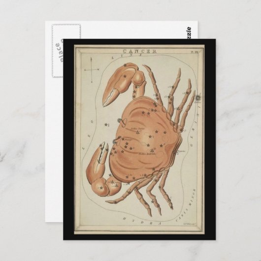 Krebs Postkarte (Vorne/Hinten)