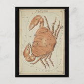 Krebs Postkarte (Vorderseite)