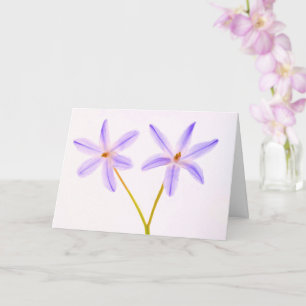 Krebs/Schwere Krankheit Blumen-Unterstützung Karte