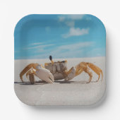 Krebs- und Strandthemen Pappteller (Vorderseite)