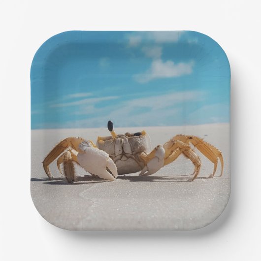 Krebs- und Strandthemen Pappteller (Vorderseite)