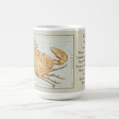 Krebs Zodiac Antique Astronomisches Diagramm Kaffeetasse (Mittel)