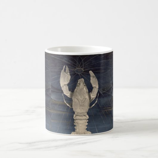 Krebse 1 kaffeetasse (Mittel)