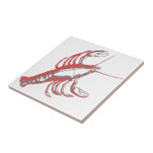 Krebse Fliese (Seite)