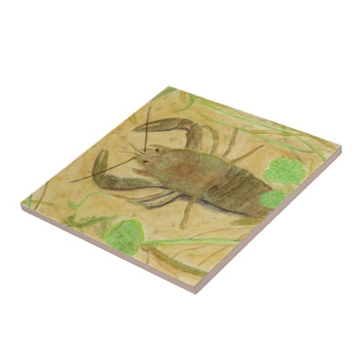 Krebse Fliese (Seite)