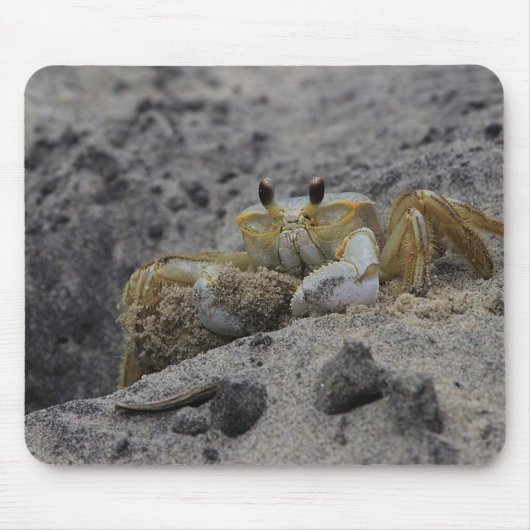 Krebse, Krebse, Sand Mousepad (Vorne)