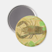 Krebse Magnet (Vorderseite/Rückseite)