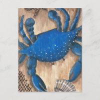 Krebse, Muschel und Netz