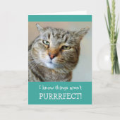 Krebsförderung Funny Cat Karte (Vorderseite)