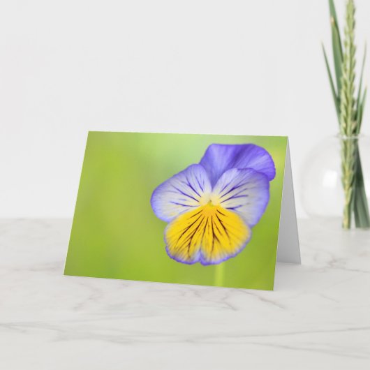 Krebsförderungspanal Karte (Vorderseite)