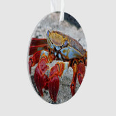 Krebsfoto Ornament (Vorderseite)