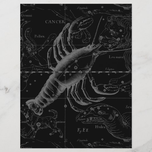 Krebskonstellation Hevelius 1690 auf schwarz (Vorderseite)
