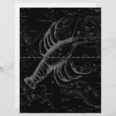 Krebskonstellation Hevelius 1690 auf schwarz (Vorne/Hinten)