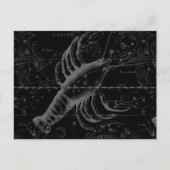 Krebskonstellation Hevelius 1690 auf schwarz Postkarte (Vorderseite)