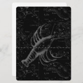 Krebskonstellation Hevelius 1690 Dekor (Vorne/Hinten)