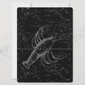 Krebskonstellation Hevelius 1690 Dekor (Vorderseite)