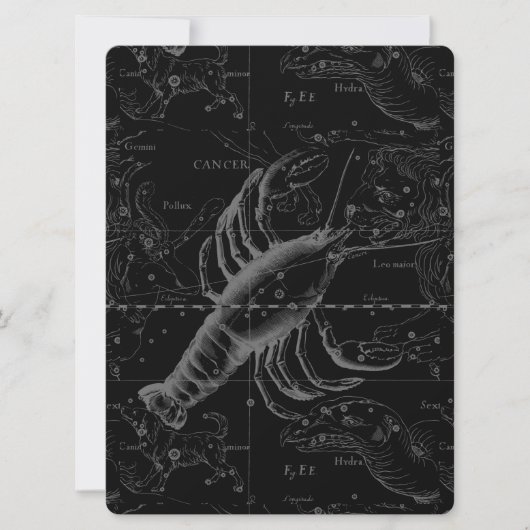 Krebskonstellation Hevelius 1690 Dekor (Vorderseite)