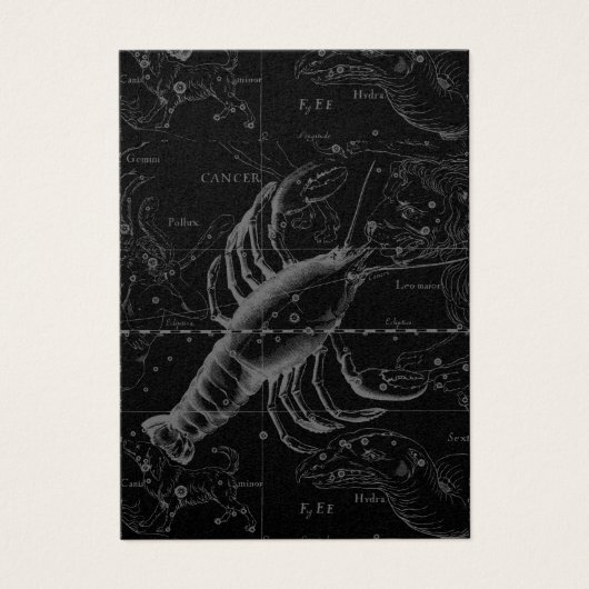 Krebskonstellation Hevelius 1690 Dekor (Vorderseite)