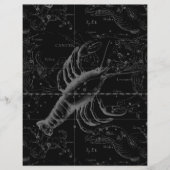 Krebskonstellation Hevelius 1690 Dekor Flyer (Vorne)