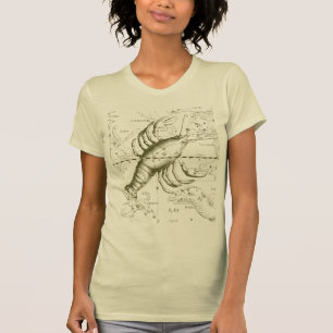 Krebskonstellation Hevelius 1690 Dekor T-Shirt