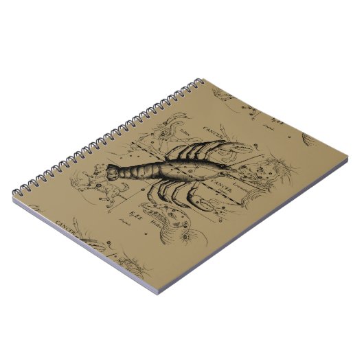 Krebskonstellation Hevelius 1690 Engaving Notizblock (Linke Seite)