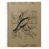 Krebskonstellation Hevelius 1690 Engaving Notizblock (Vorderseite)